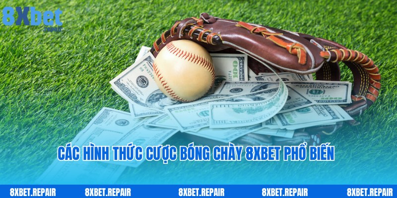 Đa dạng cửa cược hấp dẫn, thường gặp tại bóng chày 8xbet