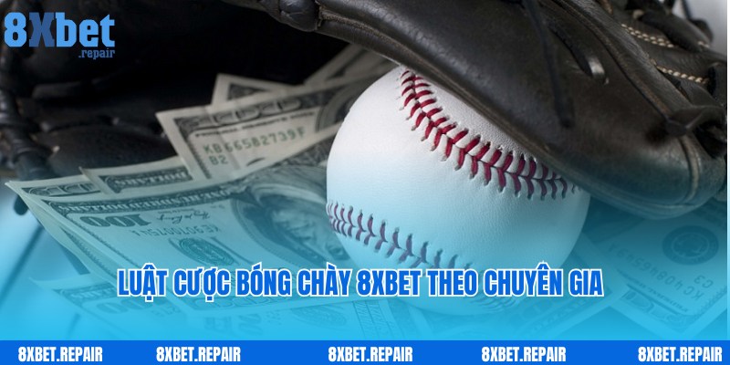 Luật chơi đơn giản, thu hút thành viên tham gia cùng bóng chày 8xbet