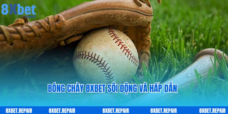 Bóng Chày 8xbet - Dịch Vụ Giải Trí Hot Top 1 Nhà Cái