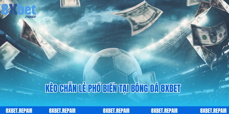 Cược chẵn lẻ thú vị cùng các trận đấu bóng đá 8xbet