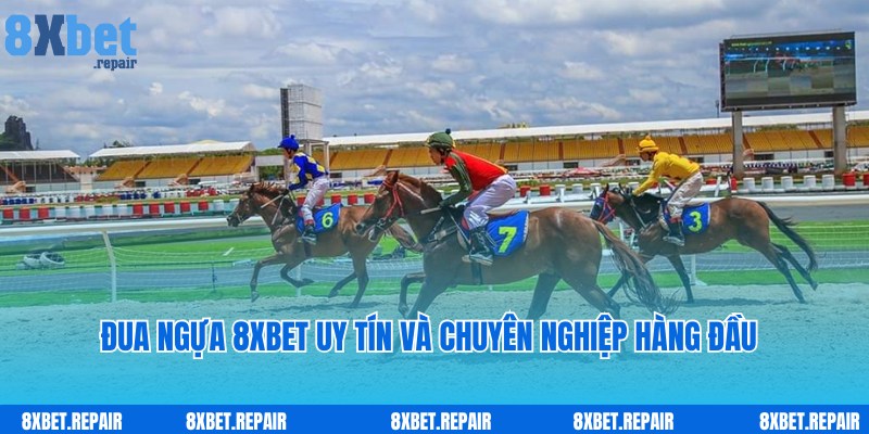 Hình thức cược đua ngựa 8xbet hấp dẫn, nổi tiếng hàng đầu