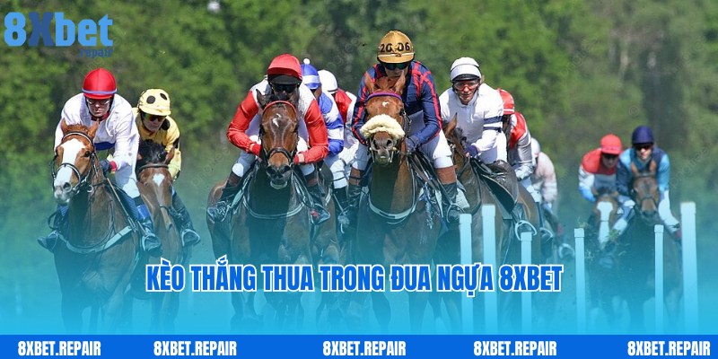 Kèo thắng hấp dẫn, quen thuộc trong cược đua ngựa 8xbet